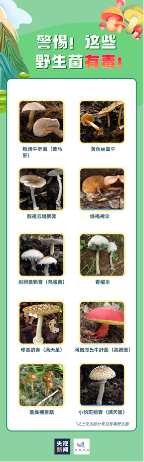 8.png
